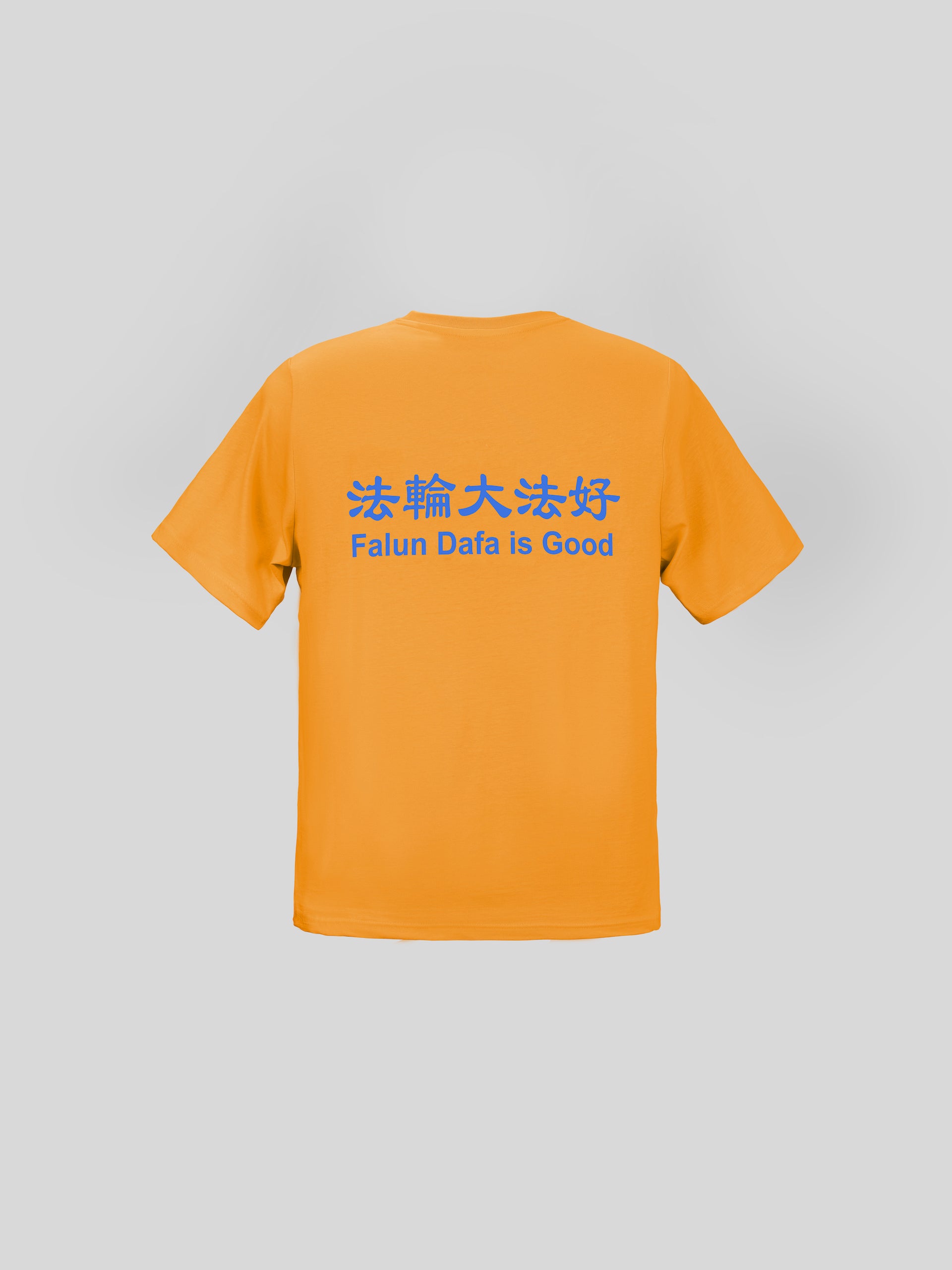 Kids' Falun Dafa is Good T-Shirt
